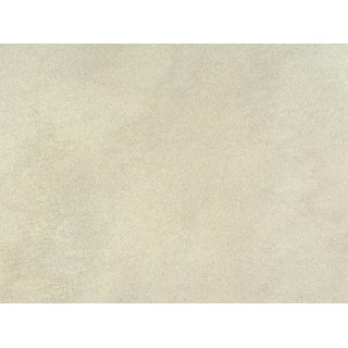 Sanierungsrckwand 3 mm Kompakt, Hhe 217 cm, Breite131 cm, Dekor Sandstein Natur, Oberflche Feinstruktur