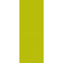 Duschrckwand 8 mm Universal, Hhe 255 cm, Breite 100 cm,...