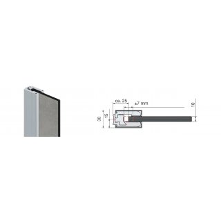 Freistehende Seitenwand 10 mm Kompakt, Breite 80 cm, Hhe 201 cm, Profile silber glnzend, schwarzer Kern, Dekor beidseitig