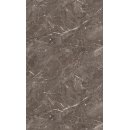 Sanierungsr�ckwand 3 mm Kompakt, H�he 217 cm, Breite131...