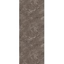 Duschr�ckwand 8 mm Universal, H�he 257 cm, Breite 100 cm,...