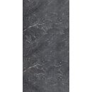 Duschr�ckwand 8 mm Universal, H�he 257 cm, Breite 130 cm,...