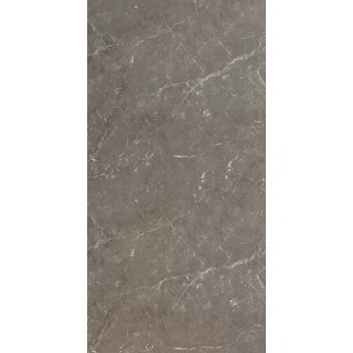 Freistehende Seitenwand 10 mm Kompakt, Breite 80 cm, Hhe 201 cm, Profile silber glnzend, schwarzer Kern, Dekor beidseitig Marmor Morastbraun, Oberflche Feinstruktur